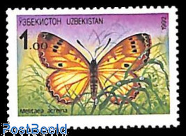 Butterfly 1v