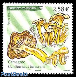 Mushrooms 1v