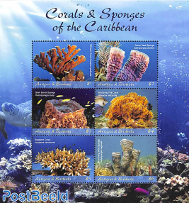 Corals and Sponges 6v m/s