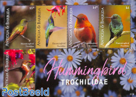 Hummingbirds 5v m/s