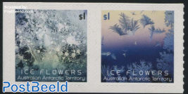 Ice Flowers 2v s-a