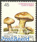 Mushroom, Gomphidius rutilus 1v