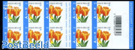 Tulips foil booklet