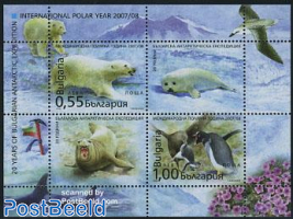 Int. Polar year 4v m/s