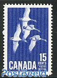 Canada goose 1v
