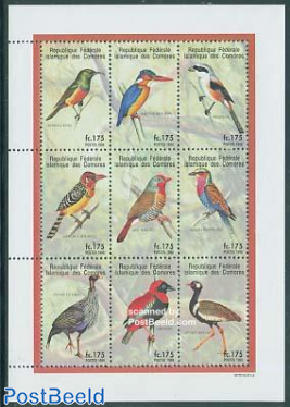 Birds 9v m/s (9x175F)