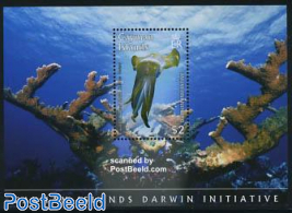 Darwin, reef squid s/s