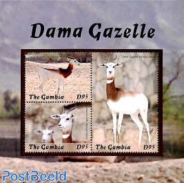 Dama Gazelle 3v m/s
