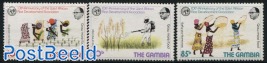 Rice 3v