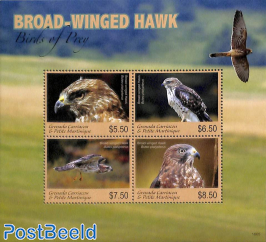 Broad-Winged Hawk 4v m/s