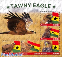 Tawny Eagle 5v m/s