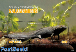 Salamanders s/s