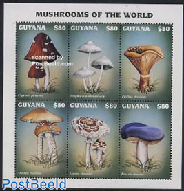 Mushrooms 6v m/s, Coprinus picaceus
