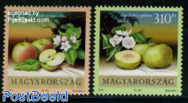 Apples 2v