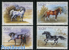 Horses 4v