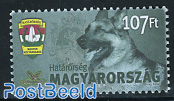 Borders, dog 1v