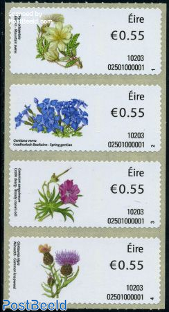 Flowers 4v s-a (automat labels)