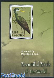 Beautiful birds s/s