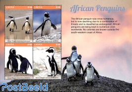 African Penguins 4v m/s