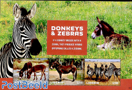 Donkeys and Zebras 3v m/s