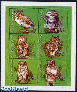 Owls 6v m/s (6x500fmg)