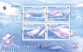 White dolphins m/s