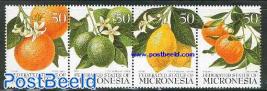 Citrus fruits 4v [:::]