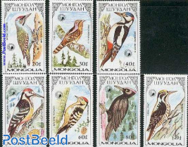 Birds 7v, woodpeckers