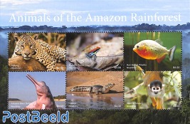 Animals of the Amazon rainforest 6v m/s