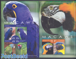 Macaw 2 s/s