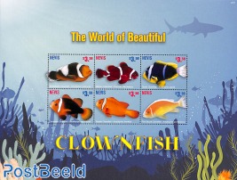 Clownfish 6v m/s