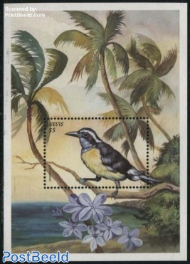 Bananaquit s/s