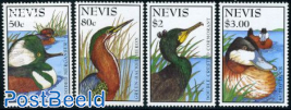 Water birds 4v