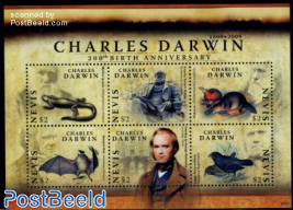 Charles Darwin 6v m/s