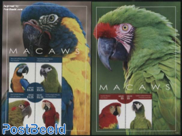 Macaws 2 s/s