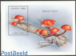 Mushroom s/s, Flammulina Velutipes