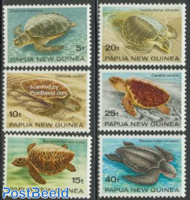 Sea turtles 6v
