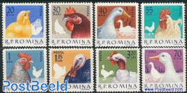 Poultry 8v
