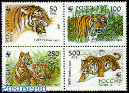 WWF, Tigers 4v [+] or [:::]