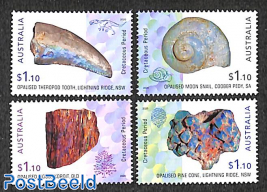 Opal fossiles 4v