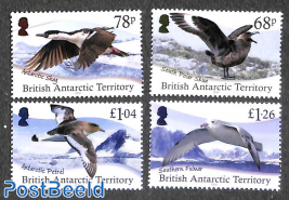 Antarctic birds 4v