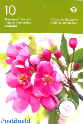 Crabapple blossoms booklet