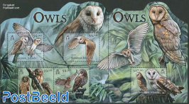 Owls 5v m/s