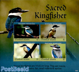 Sacred Kingfisher 4v m/s