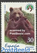 Brown bear 1v
