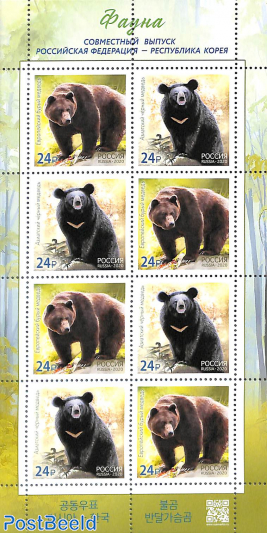 Bears m/s joint issue South Korea