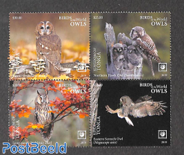 Owls 4v [+]
