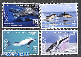 Whales & dolphins 4v