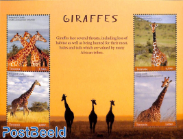 Giraffes 4v m/s