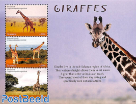 Giraffes 3v m/s